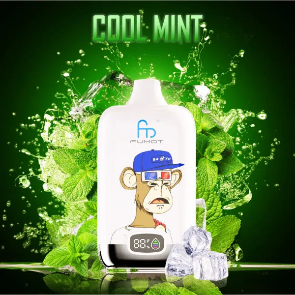 RandM Fumot Digital Box 12000 Cool Mint 0%