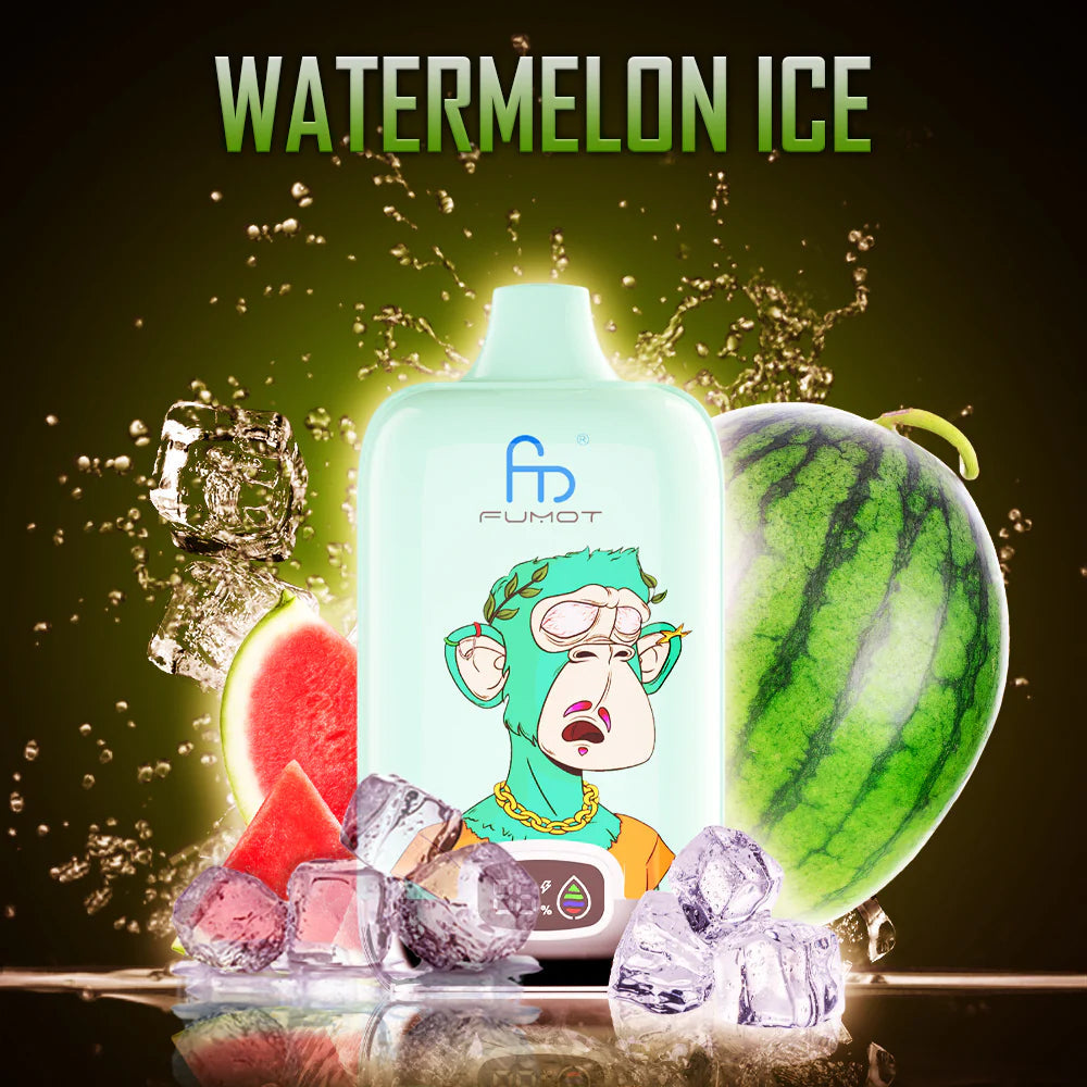 RandM Fumot Digital Box 12000 Watermelon Ice 2%