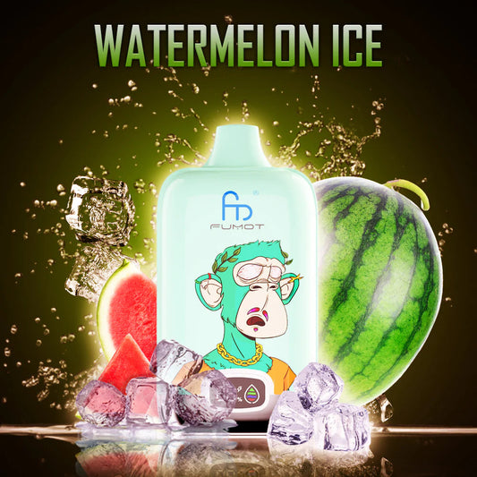 RandM Fumot Digital Box 12000  Watermelon Ice 0%