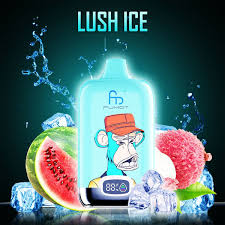 RandM Fumot Digital Box 12000 Lush Ice 0%