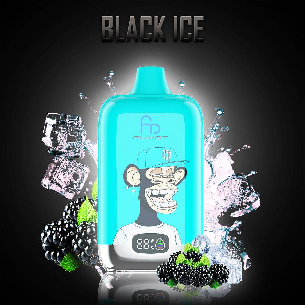 RandM Fumot Digital Box 12000 Black Ice 0%