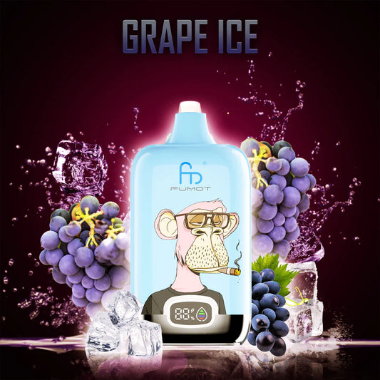 RandM Fumot Digital Box 12000 Grape Ice 0%